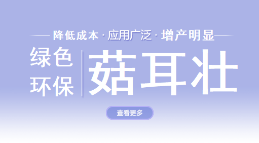 食用菌营养素首页图片图片